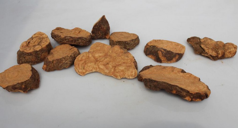 何首烏的功效及作用 何首烏怎么吃最好