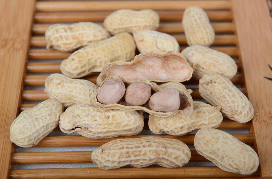 水煮花生米的做法大全 花生的營養(yǎng)價(jià)值