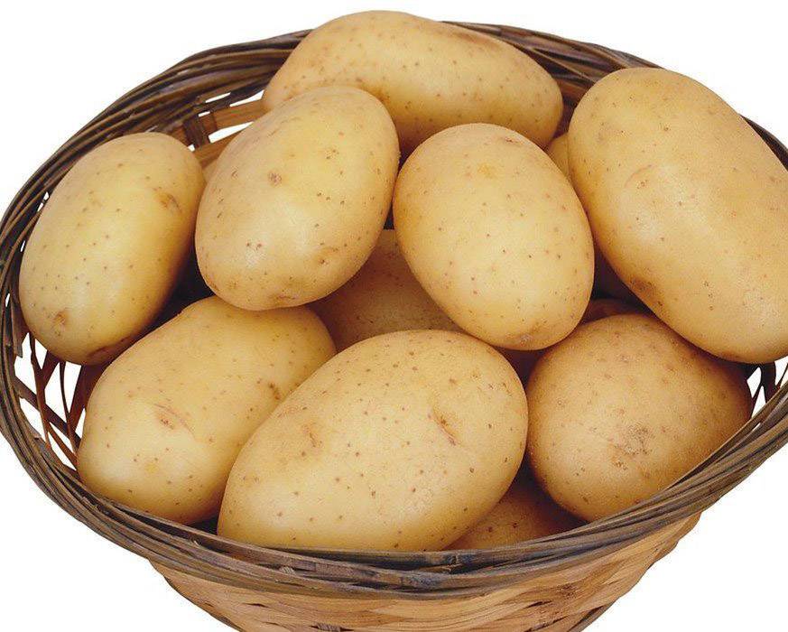 探究山藥蛋的功效與作用 這些你要知道