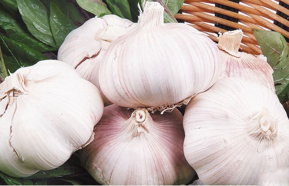 感冒拉肚子偏方一吃就好 比吃藥打針更好的效果