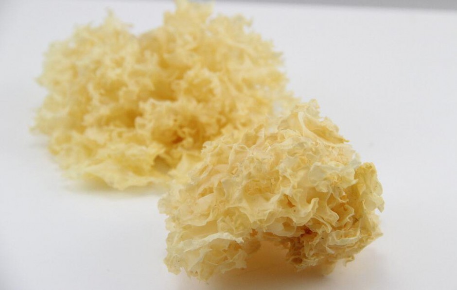 簡單幾步做出美味紅棗銀耳湯 美容養(yǎng)顏抗衰老