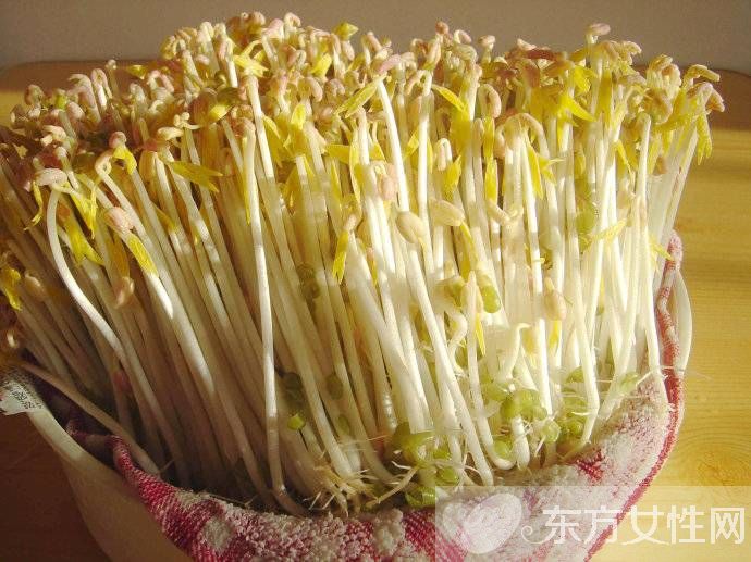 如何治療高血脂癥 這些食物效果比藥好上千萬倍哦