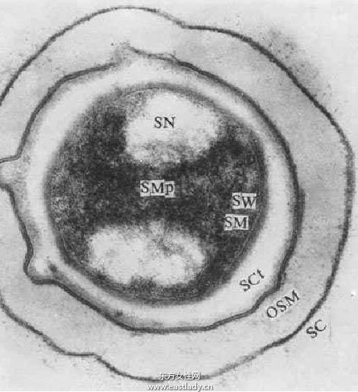 神經(jīng)官能癥能治愈嗎 神經(jīng)官能癥治療方法