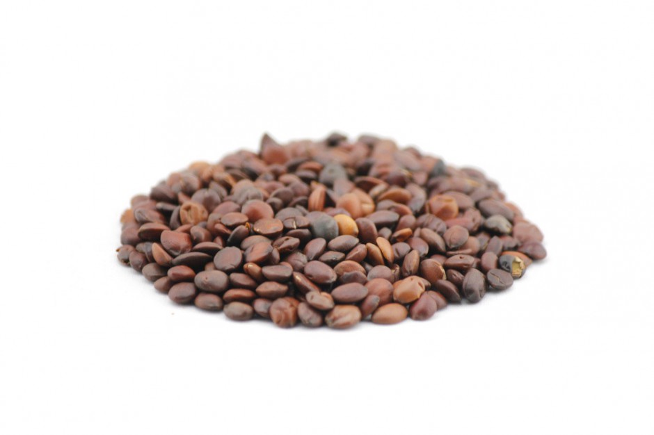 酸棗仁的副作用是什么 教你酸棗仁5大正確吃法