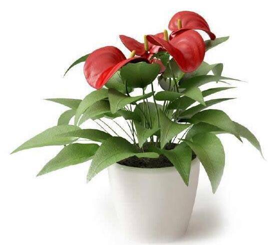 健康生活保健法 如何對(duì)付身體缺氧現(xiàn)象