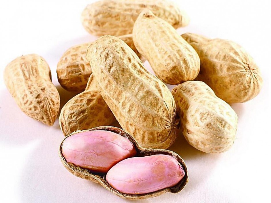 水煮花生米的做法大全 花生的營養(yǎng)價(jià)值