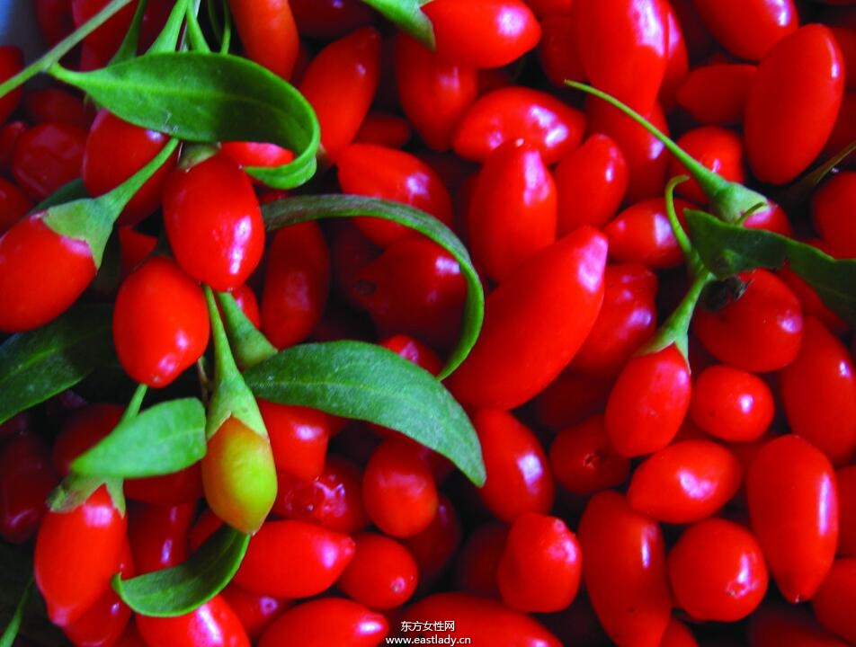 枸杞子泡酒喝的功效與做法 增強造血功能