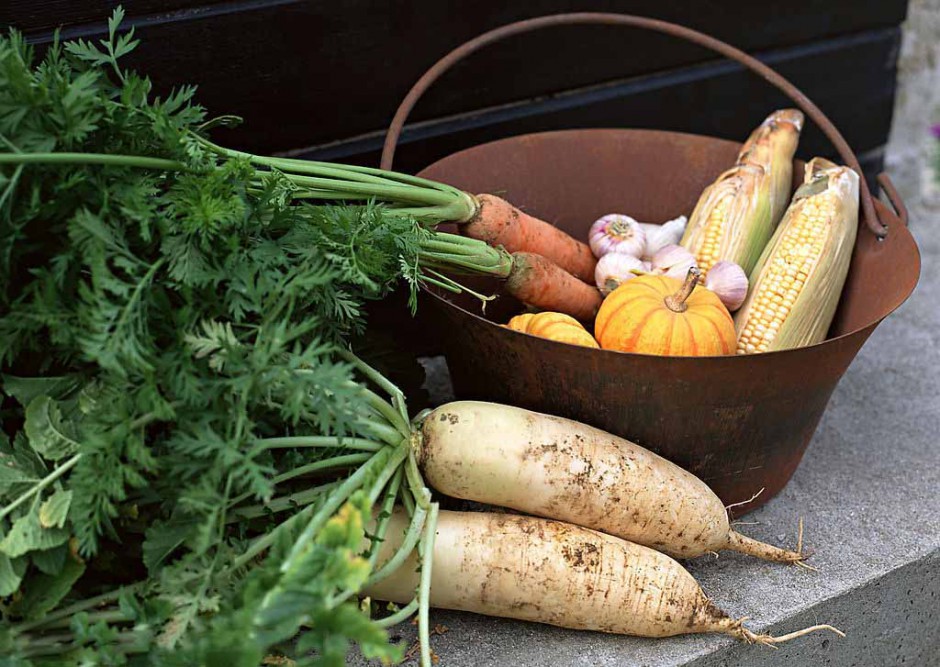 白蘿卜怎么做好吃 有哪些功效