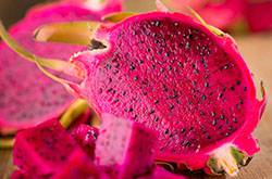 這些你要知道 吃火龍果有好處也有壞處