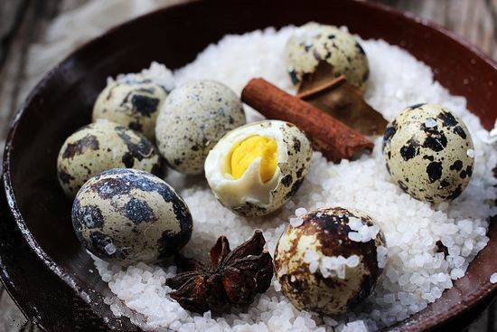 鵪鶉蛋的4大營養(yǎng)價值 居然不比雞蛋高