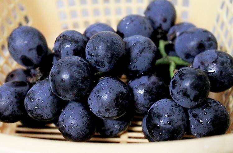 吃什么可以補腎 腎不好的癥狀表現(xiàn)