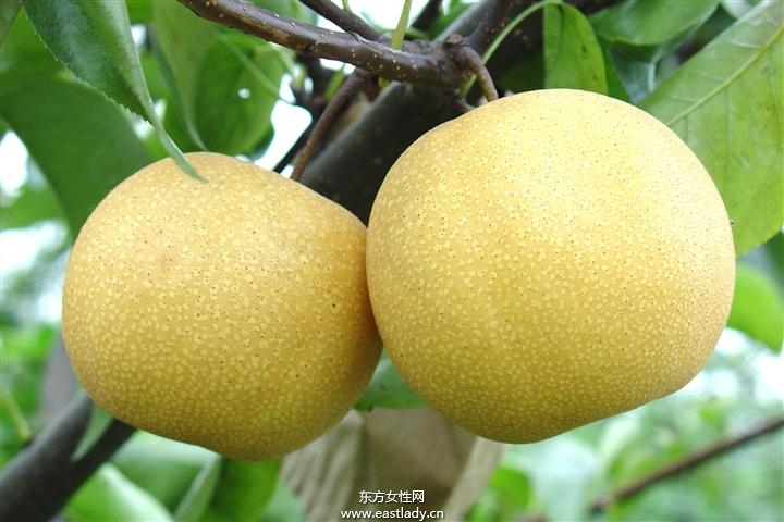 細數(shù)含糖量低的水果 它們都有什么豐富的營養(yǎng)價值