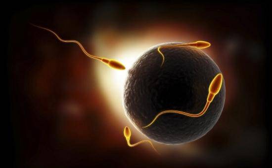 造成染色體異常的因素是什么