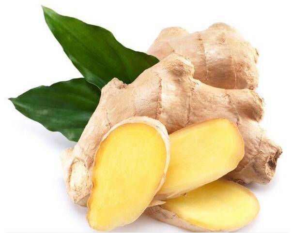 生姜洗發(fā)能治療脫發(fā) 脫發(fā)是什么引起的