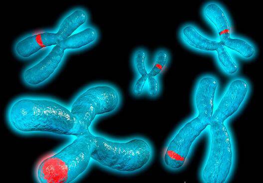 造成染色體異常的因素是什么