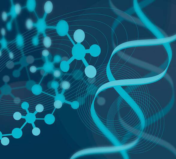 造成染色體異常的因素是什么