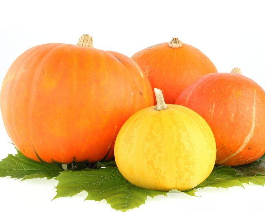 南瓜營養(yǎng)價值高 揭你不知道的南瓜粥做法