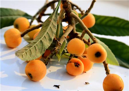 嗓子疼吃什么最好 不妨試試這六種水果