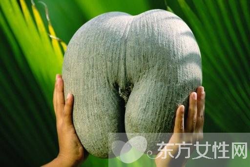 女性陰道生殖器構(gòu)造圖片 女性的陰道到底有多深