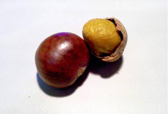 警惕 5個(gè)不良習(xí)慣最易導(dǎo)致女性腎虛