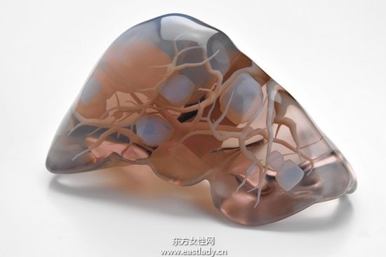 肝功能檢查項(xiàng)目前應(yīng)當(dāng)注意的七大事項(xiàng)