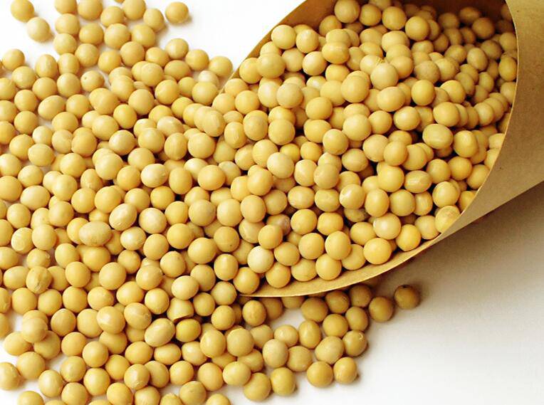 造成染色體異常的因素是什么