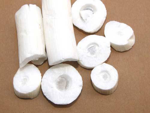 通草的功效與作用 通草怎么吃最發(fā)奶