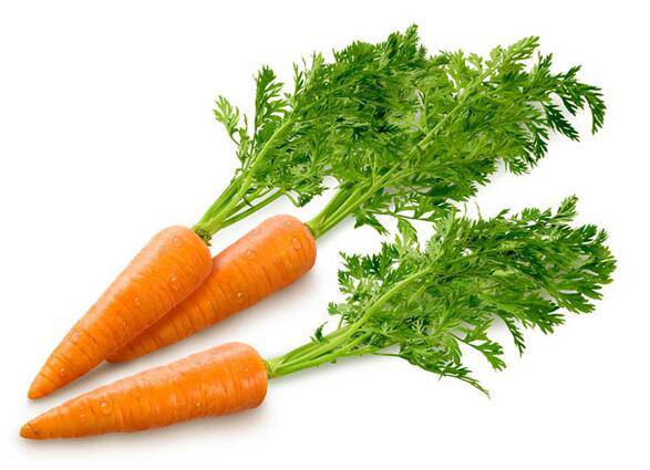 氣血不足吃什么食物好 12個(gè)癥狀需警惕