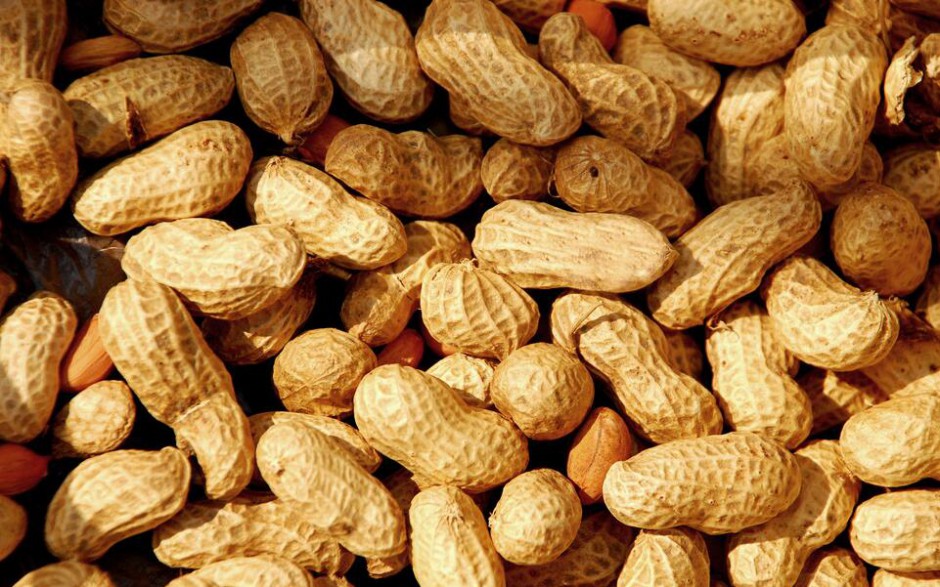 水煮花生米的做法大全 花生的營養(yǎng)價(jià)值