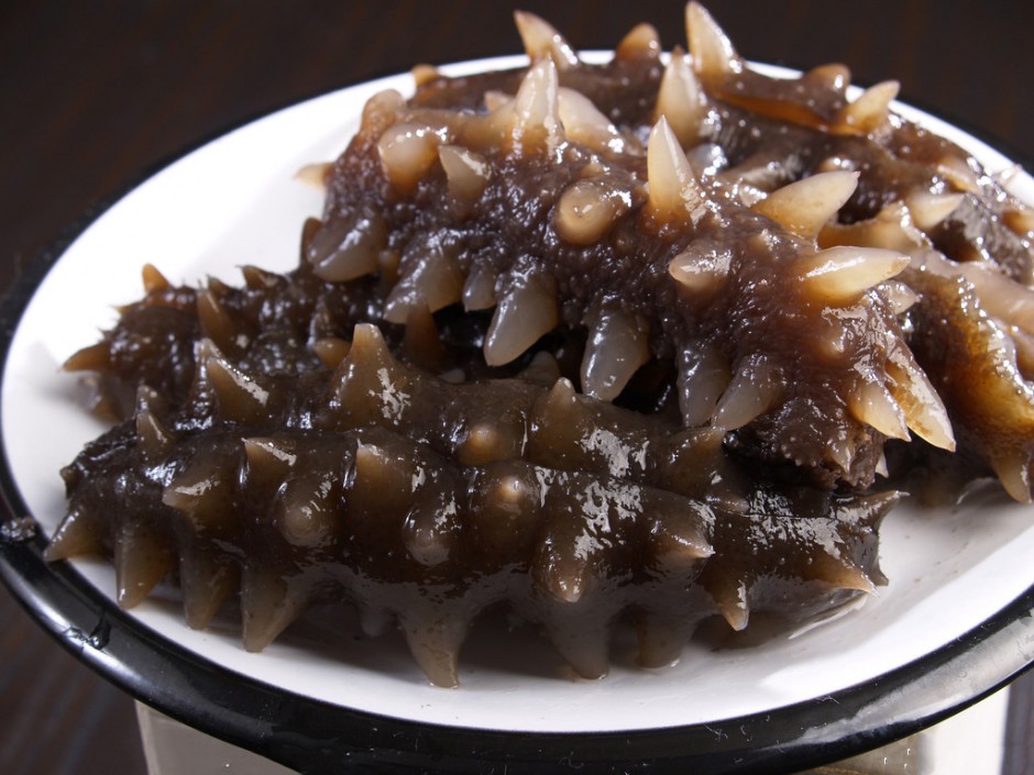 海參的5種美味吃法 滋養(yǎng)補益正當(dāng)時