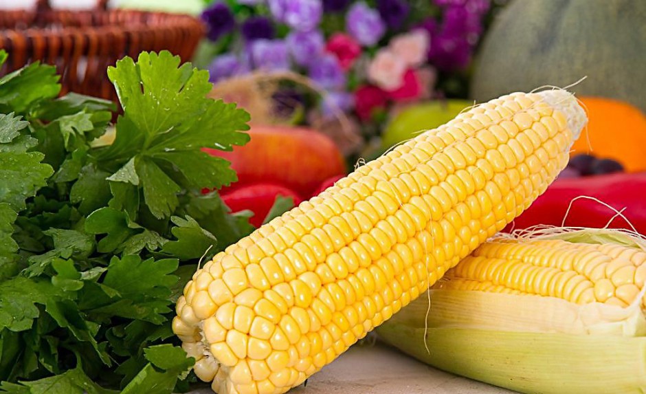 排骨玉米湯竟有這么多好處 趕緊喝起來(lái)