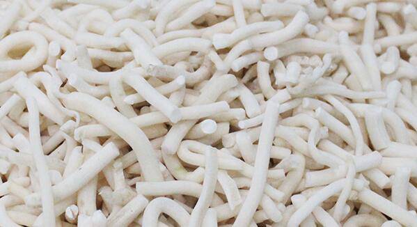 通草的功效與作用 通草怎么吃最發(fā)奶