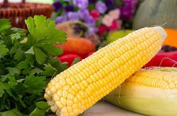 排骨玉米湯竟有這么多好處 趕緊喝起來