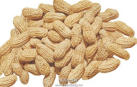 花生的功效與作用以及營養(yǎng)價值