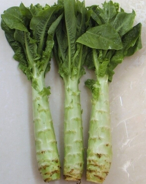 養(yǎng)肝護(hù)肝的食物 7種菜養(yǎng)肝護(hù)陽(yáng)