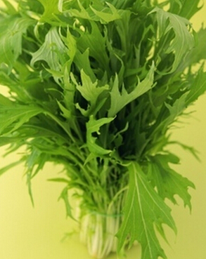 小兒腦癱 合理的飲食對小兒腦癱有益