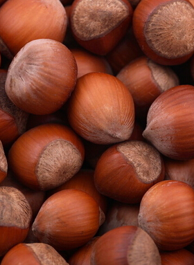 肝火旺盛怎么調(diào)理 春季肝火旺飲食調(diào)理方法