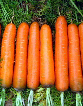 吃什么防輻射 五種防輻射又美容養(yǎng)胎的食物