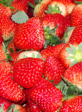 肝火旺盛怎么調(diào)理 春季肝火旺飲食調(diào)理方法