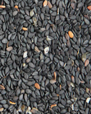 吃什么長頭發(fā) 什么食物有利于頭發(fā)生長