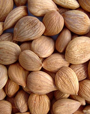 治療白發(fā) 調(diào)理白發(fā)食療的小秘方