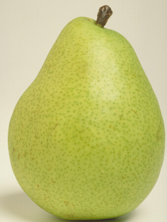 口腔潰瘍吃什么水果 口腔潰瘍吃什么水果好