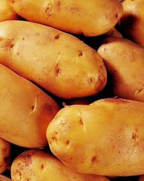 白癜風飲食 白癜風冬季該怎么飲食