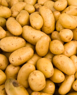 孕婦飲食禁忌 導(dǎo)致畸型胎兒的6種食物