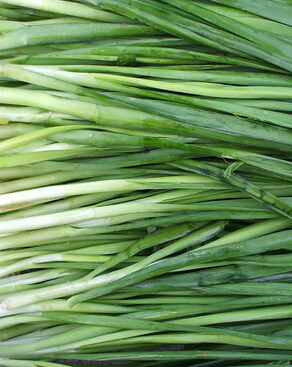 韭菜的功效與作用 吃韭菜能補(bǔ)腎助陽