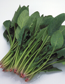 腎結(jié)石飲食注意 腎結(jié)石治療克星與飲食禁忌