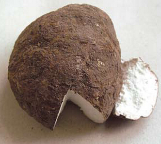 腎虛吃什么好 中醫(yī)教你怎樣滋補最養(yǎng)腎