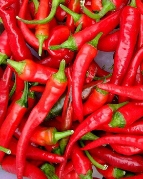 癲癇病的治療 青少年癲癇病的飲食常識