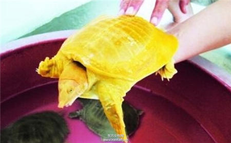 看好了 這幾個(gè)月出生的人2016年將咸魚大翻身