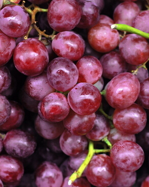 前列腺炎怎么治療 水果緩解前列腺炎